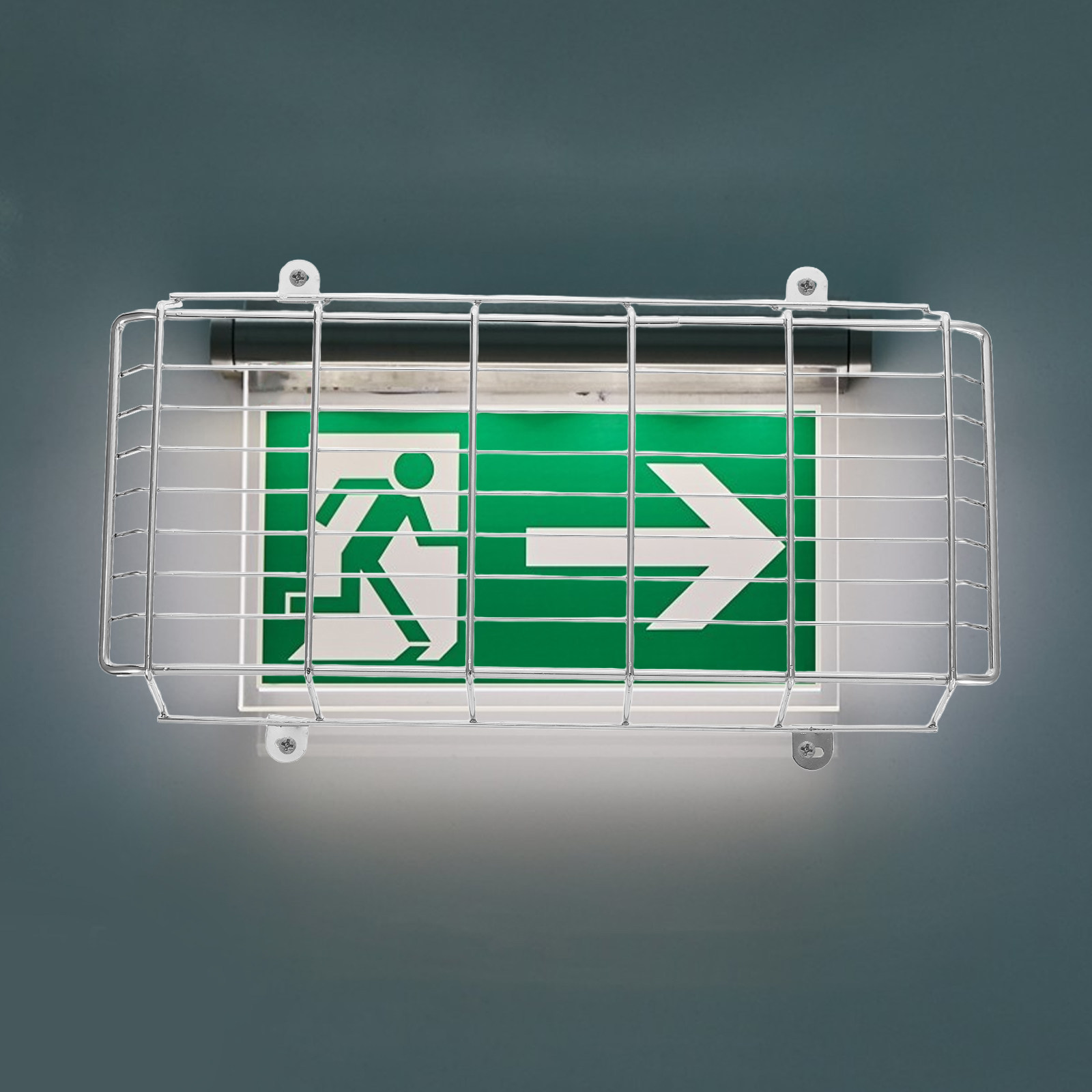 مجموعة واحدة من واقيات الأسلاك - مراجعة Emergency Exit Sign وسعره
